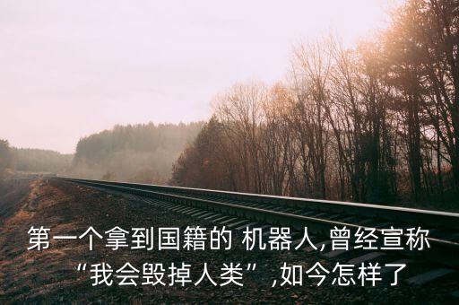第一個(gè)拿到國(guó)籍的 機(jī)器人,曾經(jīng)宣稱“我會(huì)毀掉人類”,如今怎樣了