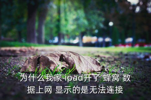為什么我家 ipad開(kāi)了 蜂窩 數(shù)據(jù)上網(wǎng) 顯示的是無(wú)法連接