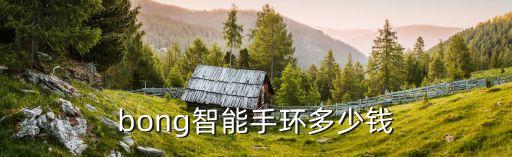 bong3 運(yùn)動 自動