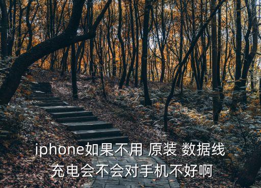 蘋果非原裝數(shù)據(jù)線充電快,蘋果不是原裝數(shù)據(jù)線充電有影響嗎