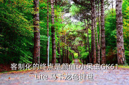 客制化的終點(diǎn)是顏值:小呆蟲(chóng)GK61Lite 馬卡龍色鍵盤(pán)
