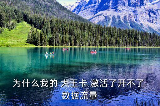 為什么我的 大王卡 激活了開(kāi)不了 數(shù)據(jù)流量
