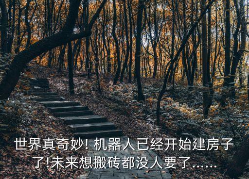 世界真奇妙! 機(jī)器人已經(jīng)開(kāi)始建房子了!未來(lái)想搬磚都沒(méi)人要了……