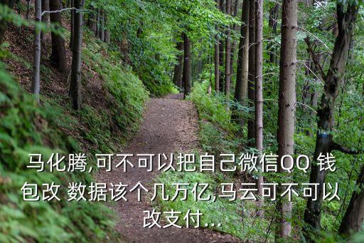 馬化騰,可不可以把自己微信QQ 錢包改 數(shù)據(jù)該個(gè)幾萬(wàn)億,馬云可不可以改支付...