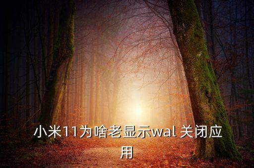  小米11為啥老顯示wal 關(guān)閉應(yīng)用