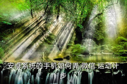 安卓系統(tǒng)的手機如何弄 微信 運動計步