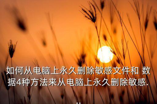 如何從電腦上永久刪除敏感文件和 數(shù)據(jù)4種方法來從電腦上永久刪除敏感...