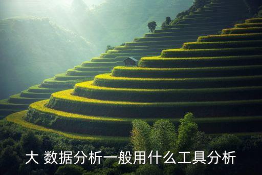 大 數(shù)據(jù)分析一般用什么工具分析