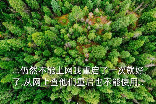 ...仍然不能上網(wǎng)我重啟了一次就好了,從網(wǎng)上查他們重啟也不能使用...