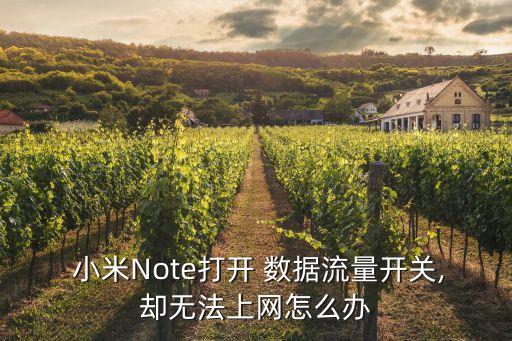  小米Note打開 數(shù)據(jù)流量開關(guān),卻無法上網(wǎng)怎么辦