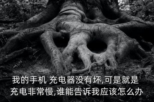 我的手機(jī) 充電器沒有壞,可是就是 充電非常慢,誰能告訴我應(yīng)該怎么辦