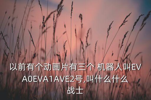以前有個動畫片有三個 機(jī)器人叫EVA0EVA1AVE2號,叫什么什么戰(zhàn)士