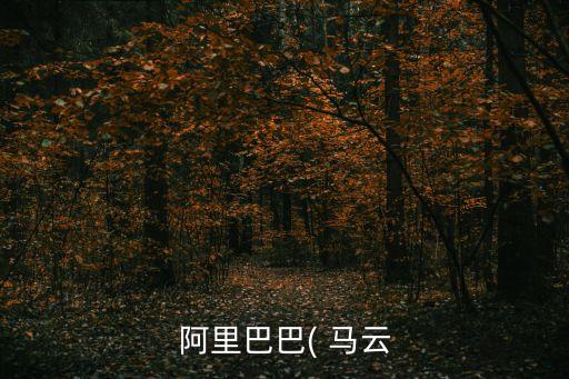 入主恒生電子馬云覬覦大數(shù)據(jù),馬云入主恒生電子后都做了哪些事