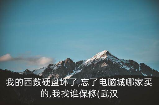 我的西數(shù)硬盤壞了,忘了電腦城哪家買的,我找誰保修(武漢