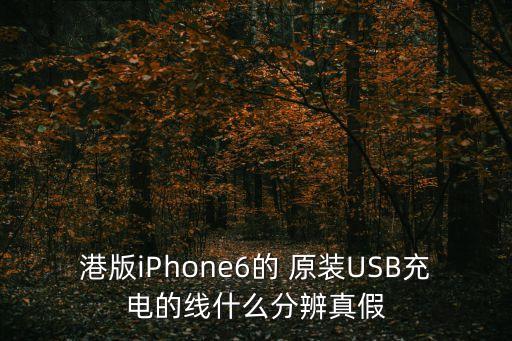港版iPhone6的 原裝USB充電的線什么分辨真假