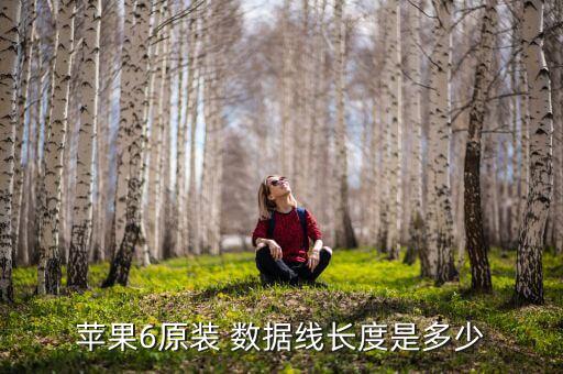 蘋果6原裝 數(shù)據(jù)線長(zhǎng)度是多少