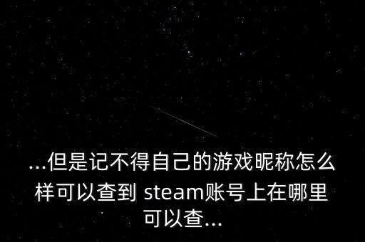 ...但是記不得自己的游戲昵稱怎么樣可以查到 steam賬號(hào)上在哪里可以查...