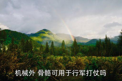 機(jī)器人的骨骼