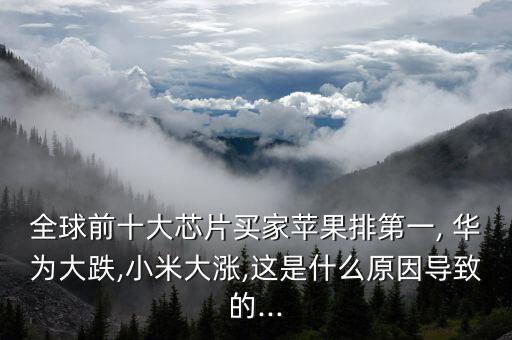 全球前十大芯片買家蘋果排第一, 華為大跌,小米大漲,這是什么原因?qū)е碌?..