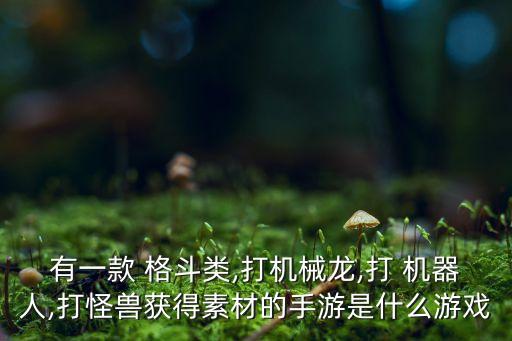 有一款 格斗類,打機(jī)械龍,打 機(jī)器人,打怪獸獲得素材的手游是什么游戲