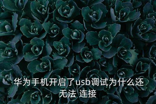  華為手機(jī)開啟了usb調(diào)試為什么還無法 連接
