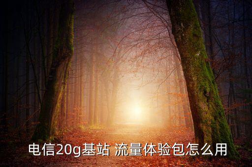 電信數(shù)據(jù)流量怎么用,電信手機(jī)卡關(guān)閉數(shù)據(jù)流量