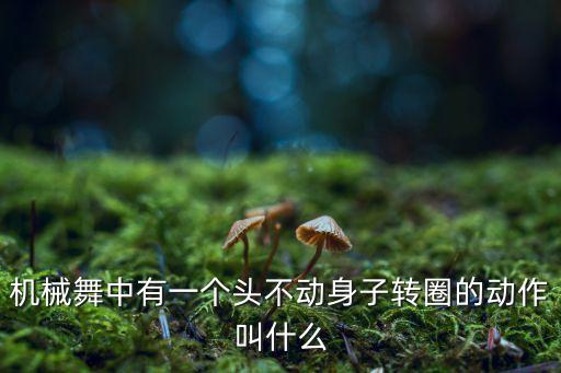 機(jī)械舞中有一個頭不動身子轉(zhuǎn)圈的動作叫什么