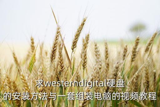 求westerndigital硬盤的安裝方法與一套組裝電腦的視頻教程