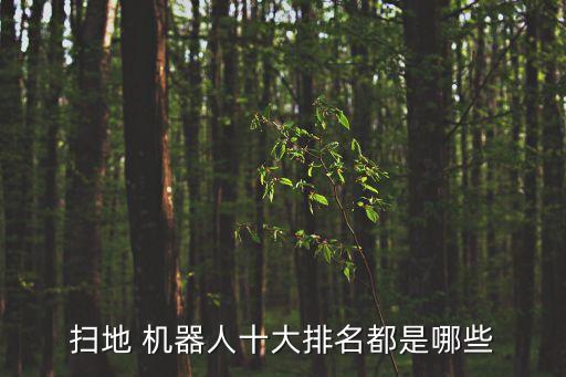 掃地 機(jī)器人十大排名都是哪些