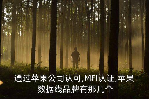 通過(guò)蘋果公司認(rèn)可,MFI認(rèn)證,蘋果 數(shù)據(jù)線品牌有那幾個(gè)