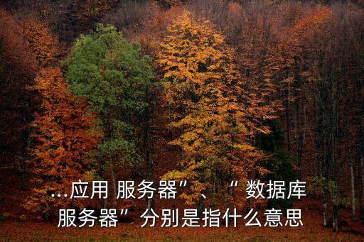 ...應(yīng)用 服務(wù)器”、“ 數(shù)據(jù)庫 服務(wù)器”分別是指什么意思