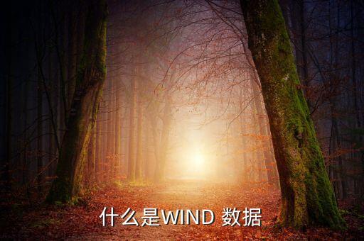 什么是WIND 數(shù)據(jù)