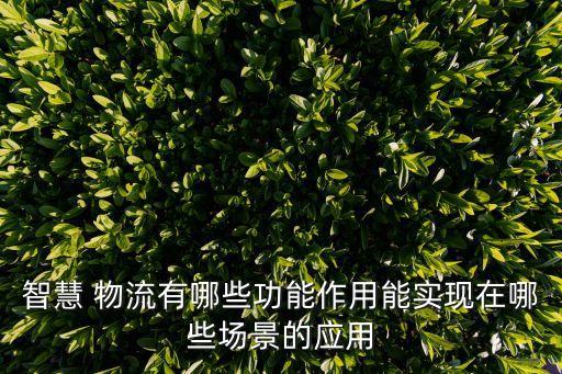 智慧 物流有哪些功能作用能實(shí)現(xiàn)在哪些場(chǎng)景的應(yīng)用