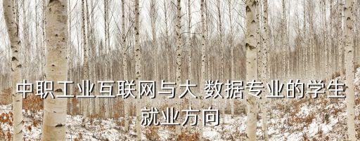 中職工業(yè)互聯(lián)網(wǎng)與大 數(shù)據(jù)專(zhuān)業(yè)的學(xué)生就業(yè)方向