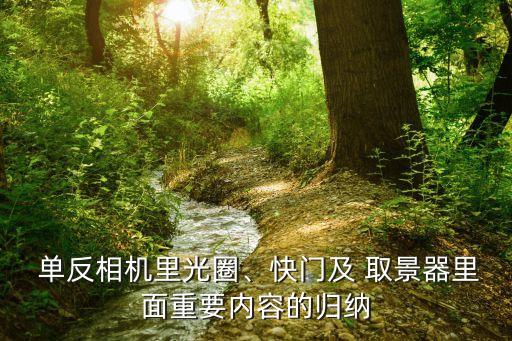 單反取景器數(shù)據(jù),佳能單反取景器看不到畫面