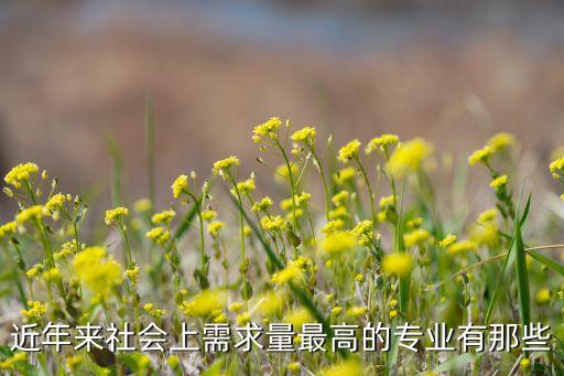 近年來社會(huì)上需求量最高的專業(yè)有那些