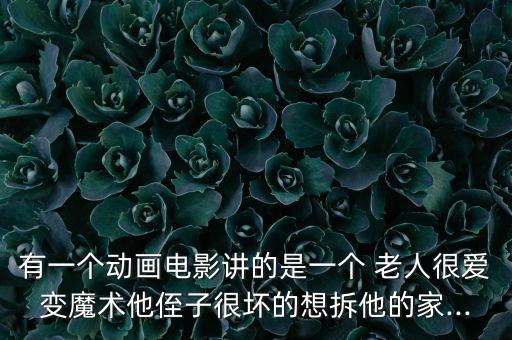 有一個動畫電影講的是一個 老人很愛變魔術(shù)他侄子很壞的想拆他的家...