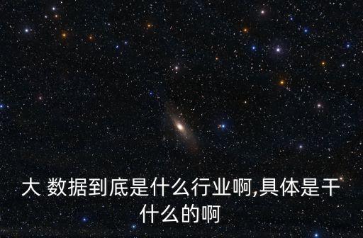 大 數(shù)據(jù)到底是什么行業(yè)啊,具體是干什么的啊