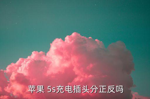 蘋果5s的數(shù)據(jù)線的結(jié)構(gòu)