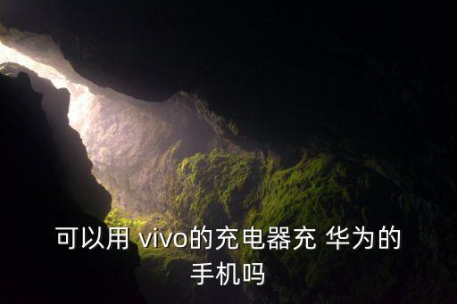 可以用 vivo的充電器充 華為的手機(jī)嗎