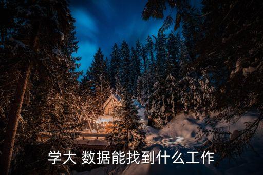 學(xué)大 數(shù)據(jù)能找到什么工作