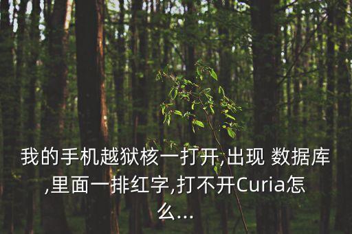 我的手機越獄核一打開,出現(xiàn) 數(shù)據(jù)庫,里面一排紅字,打不開Curia怎么...