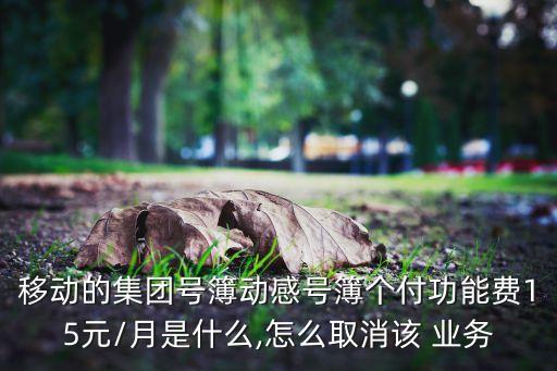 移動收入 數(shù)據(jù)業(yè)務,移動網(wǎng)絡電話和數(shù)據(jù)業(yè)務屬于