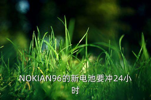 NOKIAN96的新電池要沖24小時