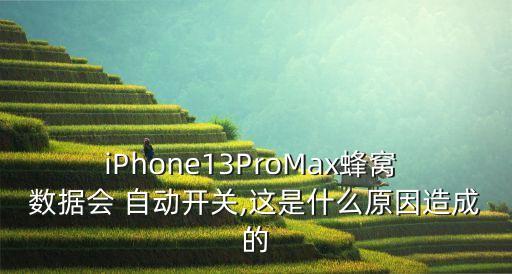 iPhone13ProMax蜂窩 數(shù)據(jù)會 自動開關(guān),這是什么原因造成的