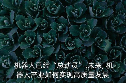  機器人已經“總動員”,未來, 機器人產業(yè)如何實現高質量發(fā)展