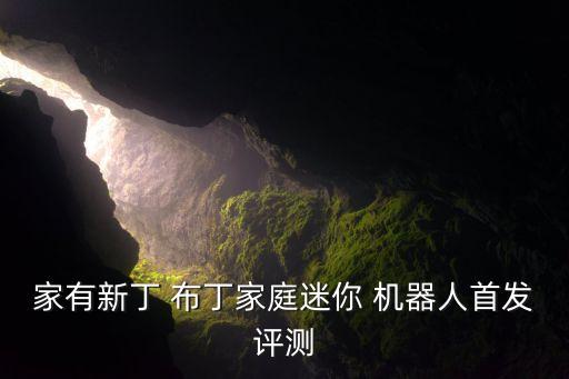 家有新丁 布丁家庭迷你 機(jī)器人首發(fā)評(píng)測(cè)