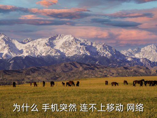 為什么 手機(jī)突然 連不上移動 網(wǎng)絡(luò)
