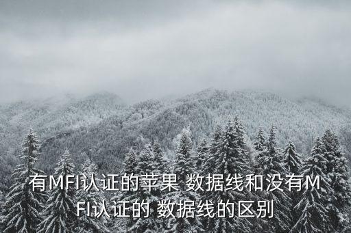 mfi數(shù)據(jù)線好處ROCK,米量數(shù)據(jù)線有沒有MFI