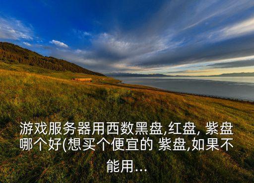 游戲服務(wù)器用西數(shù)黑盤,紅盤, 紫盤哪個好(想買個便宜的 紫盤,如果不能用...